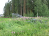 Tuomas Lähde, Tolppahan on vallan kumollaan., 15.07.2007